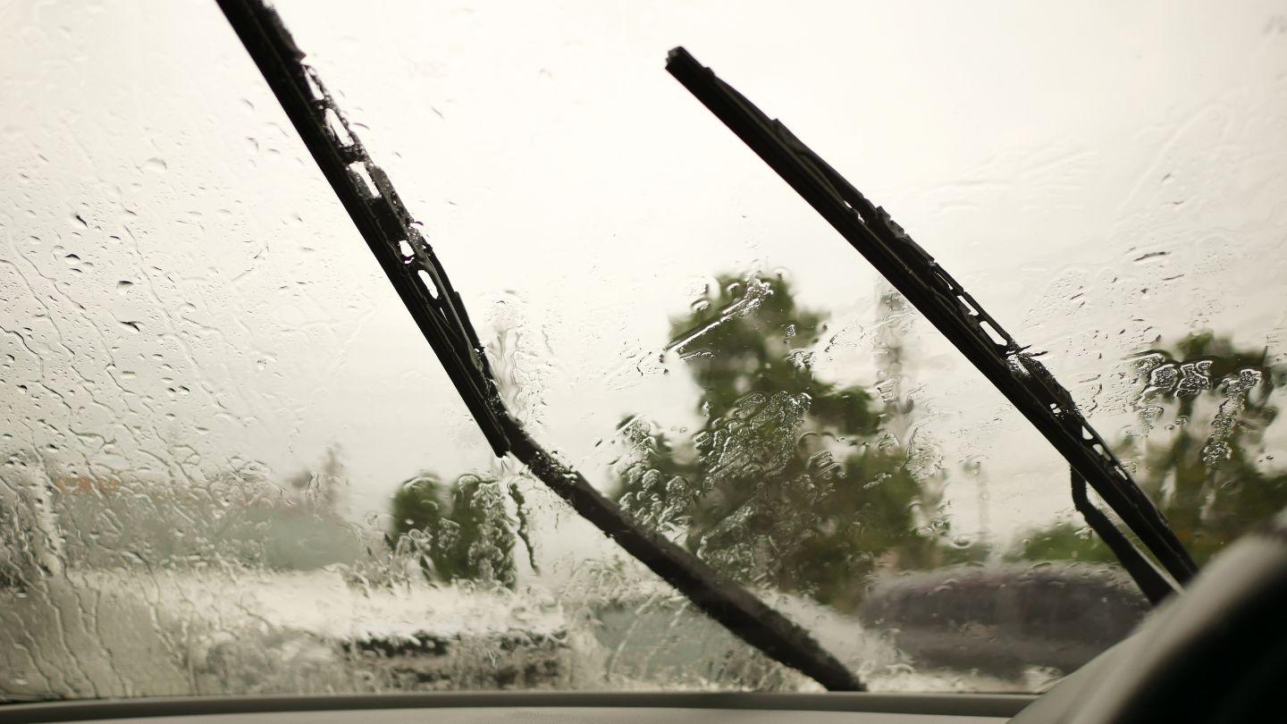 Use Headlights and Windshield Wipers